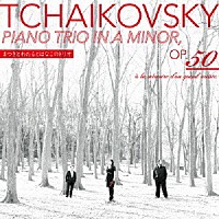 まつきとわたるとはなこのトリオ「 チャイコフスキー：ピアノ三重奏曲　イ短調　作品５０　≪偉大な芸術家の思い出に≫」