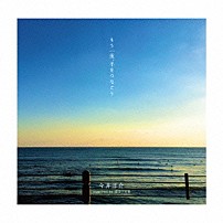今井洋介　ｓｕｐｐｏｒｔｅｄ　ｂｙ　逗子三兄弟 「もう一度、手をつなごう」