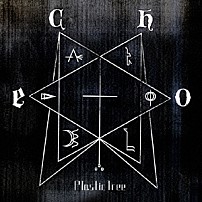 Ｐｌａｓｔｉｃ　Ｔｒｅｅ 「ｅｃｈｏ」