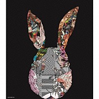 ＴＡＭＵＲＡＰＡＮ 「ｔａｍｕＬＡＰＩＮ」