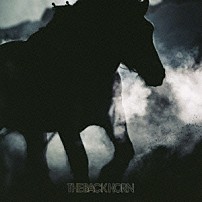 ザ・バックホーン 「暁のファンファーレ」