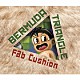 ＦＡＢ　ＣＵＳＨＩＯＮ「ＢＥＲＭＵＤＡ　ＴＲＩＡＮＧＬＥ」