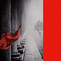 ＢＵＣＫ－ＴＩＣＫ「 形而上　流星」