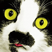 中山うり「 鰻」