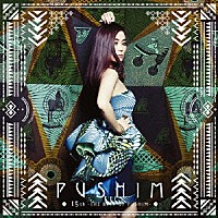 ＰＵＳＨＩＭ「 １５ｔｈ　－ＴＨＥ　ＢＥＳＴ　ＯＦ　ＰＵＳＨＩＭ－」