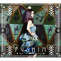 ＰＵＳＨＩＭ 「１５ｔｈ　－ＴＨＥ　ＢＥＳＴ　ＯＦ　ＰＵＳＨＩＭ－」