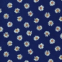 きのこ帝国 「ロンググッドバイ」