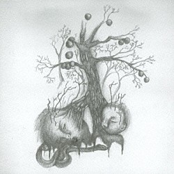 アヲイ「フテキゴウな林檎」