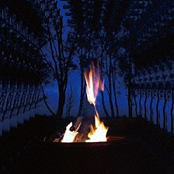 カルロス・ニーニョ＆フレンズ「ＡＵＲＯＲＡＳＭＵＳＨＲＯＯＭＴＥＮＤＥＲＮＥＳＳ」