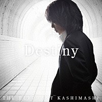 エレファントカシマシ「 Ｄｅｓｔｉｎｙ」