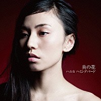 ハルカハミングバード「 炎の花」