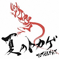 ＴＯＴＡＬＦＡＴ「 夏のトカゲ」