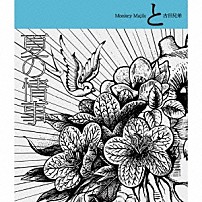Ｍｏｎｋｅｙ　Ｍａｊｉｋ＋吉田兄弟 「夏の情事」