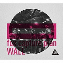 ｆｏｘ　ｃａｐｔｕｒｅ　ｐｌａｎ Ｒｙｏ　Ｋｉｓｈｉｍｏｔｏ Ｈｉｄｅｈｉｒｏ　Ｋａｗａｉ Ｔｓｕｋａｓａ　Ｉｎｏｕｅ 「ＷＡＬＬ」