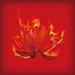 ＤＯＥＳ「紅蓮」