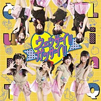 ＬｉｎＱ 「ウェッサイ！！ガッサイ！！」