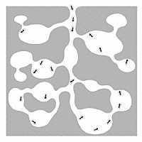 ＳＡＫＡＮＡＭＯＮ「 ＡＲＩＫＡＮＡＳＨＩＫＡ」