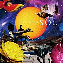 ＰＥＮＩＣＩＬＬＩＮ 「ＳＯＬ」