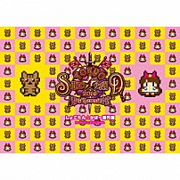 中川翔子 「ＴＯＫＹＯ　ＳＨＯＫＯ☆ＬＡＮＤ　２０１４　～ＲＰＧ的未知の記憶～　しょこたん☆かばー番外編　Ｐｒｏｄｕｃｅｄ　ｂｙ　Ｋｏｈｅｉ　Ｔａｎａｋａ」