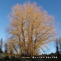 ビリー・バンバン「 愛という名の、自由と不自由」