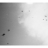 森は生きている「 グッド・ナイト」