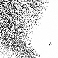 ウィルコ「 スカイ・ブルー・スカイ」