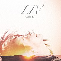ＡＫＡＮＥ　ＬＩＶ 「ＬＩＶ」