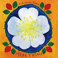 秀吉 「テルハノイバラ」