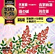 （カラオケ） 伍代夏子 多岐川舞子 松原のぶえ 花咲ゆき美「超厳選　カラオケサークルＷ　ベスト４」