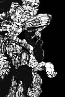 ｔｈｅ　ＧａｚｅｔｔＥ「 ＦＩＬＭ　ＢＵＧ　Ⅲ」