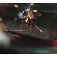凛として時雨「 Ｗｈｏ　Ｗｈａｔ　Ｗｈｏ　Ｗｈａｔ」