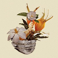 ＫＯＨＨ「 梔子」