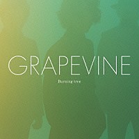 ＧＲＡＰＥＶＩＮＥ「 Ｂｕｒｎｉｎｇ　ｔｒｅｅ」