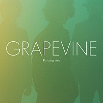 ＧＲＡＰＥＶＩＮＥ 「Ｂｕｒｎｉｎｇ　ｔｒｅｅ」