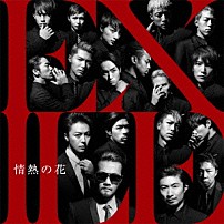 ＥＸＩＬＥ 「情熱の花」