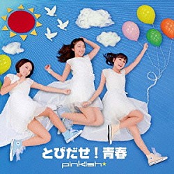 Ｐｉｎｋｉｓｈ「とびだせ！青春」