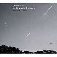 クリス・ポッター・アンダーグラウンド・オーケストラ「 イマジナリー・シティーズ」