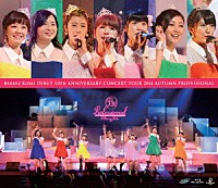 Ｂｅｒｒｙｚ工房「 Ｂｅｒｒｙｚ工房デビュー１０周年記念コンサートツアー２０１４秋～プロフェッショナル～」