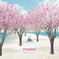 ＴＵＢＥ「 いまさらサーフサイド」