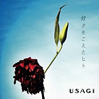 ＵＳＡＧＩ 「好きをこえたヒト」