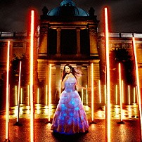 茅原実里 「Ｒｅｉｎｃａｒｎａｔｉｏｎ」