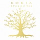 ＫＯＫＩＡ「Ｉ　Ｆｏｕｎｄ　Ｙｏｕ」