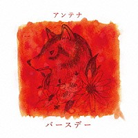 アンテナ「 バースデー」