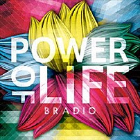ＢＲＡＤＩＯ 「ＰＯＷＥＲ　ＯＦ　ＬＩＦＥ」