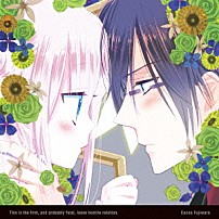 （ドラマＣＤ） 小野友樹 中原麻衣 三木眞一郎 伊瀬茉莉也 緑川光 鈴村健一 川澄綾子「ドラマＣＤ　かつて魔法少女と悪は敵対していた。」