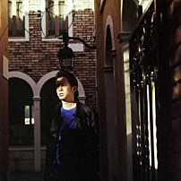 Ｋｅｉｓｈｉ　Ｔａｎａｋａ 「Ａｌｌｅｙ」