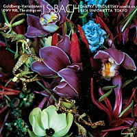 ドミトリー・シトコヴェツキー　紀尾井シンフォニエッタ東京「 Ｊ．Ｓ．バッハ：ゴルトベルク変奏曲（弦楽合奏版）」