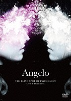 Ａｎｇｅｌｏ「 Ａｎｇｅｌｏ　ＴＨＥ　ＢＬＩＮＤ　ＳＰＯＴ　ＯＦ　ＰＳＹＣＨＯＬＯＧＹ　Ｌｉｖｅ　＆　Ｄｏｃｕｍｅｎｔ」