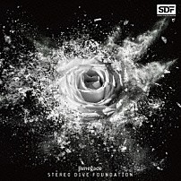 ＳＴＥＲＥＯ　ＤＩＶＥ　ＦＯＵＮＤＡＴＩＯＮ 「Ｒｅｎｅｇａｄｅ」