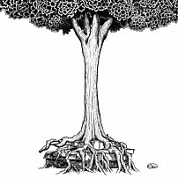 ストレイテナー 「ＮＯ　～命の跡に咲いた花～」